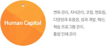 Human Capital : 변화 관리, 지식관리, 코칭, 멘토링, 다양성과 포용성, 성과 개발, 혁신, 학습 프로그램 관리, 통합 인재 관리